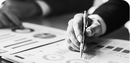 Organization Assessment Service